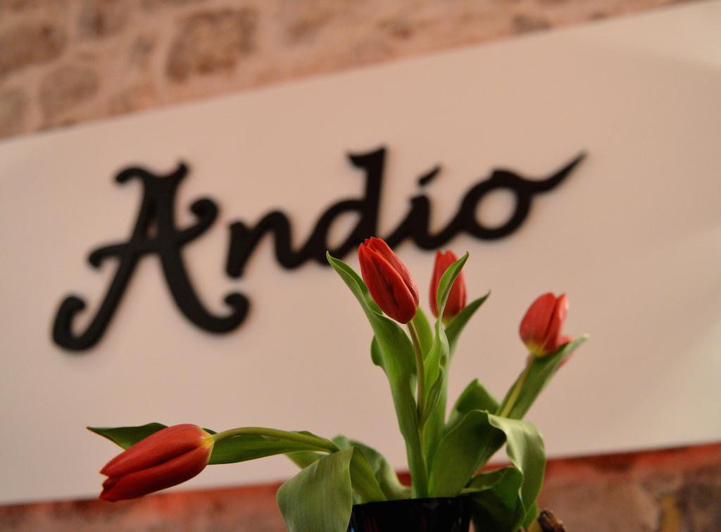 Bed&Breakfast Andio Dubrovnik Buitenkant foto